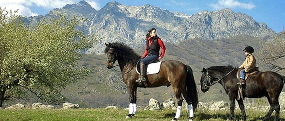 Conducción de Actividades en el Medio Natural en Madrid