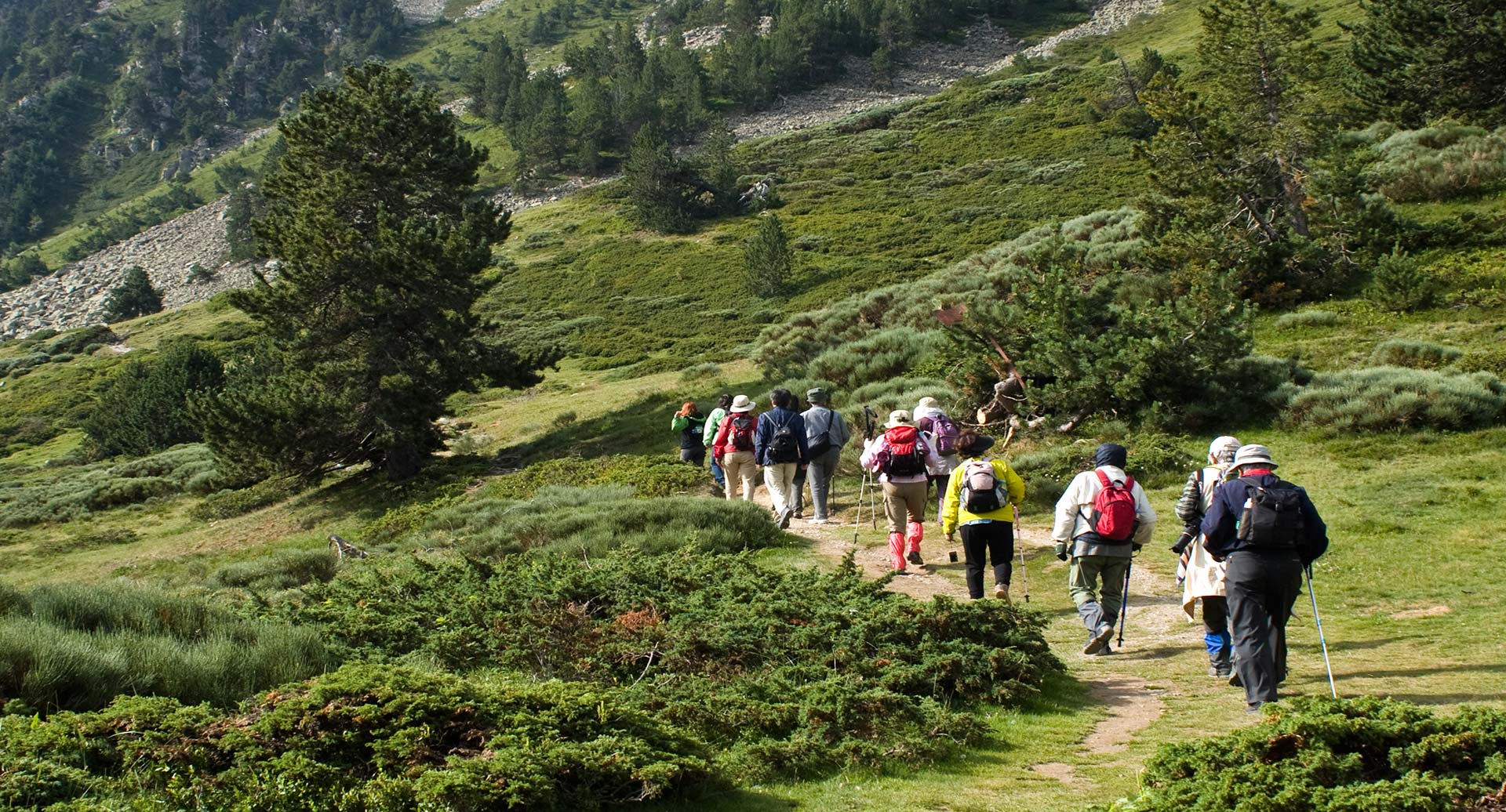 Turismo rural como alternativa