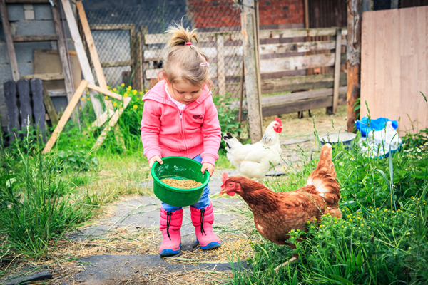 La granja escuela: aprender divirtiéndose el medio rural