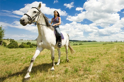 Las rutas a caballo, un placer por descubrir