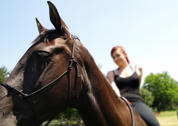 5 consejos a la hora de montar a caballo