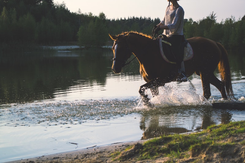 Excursiones a caballo por la Sierra de Madrid