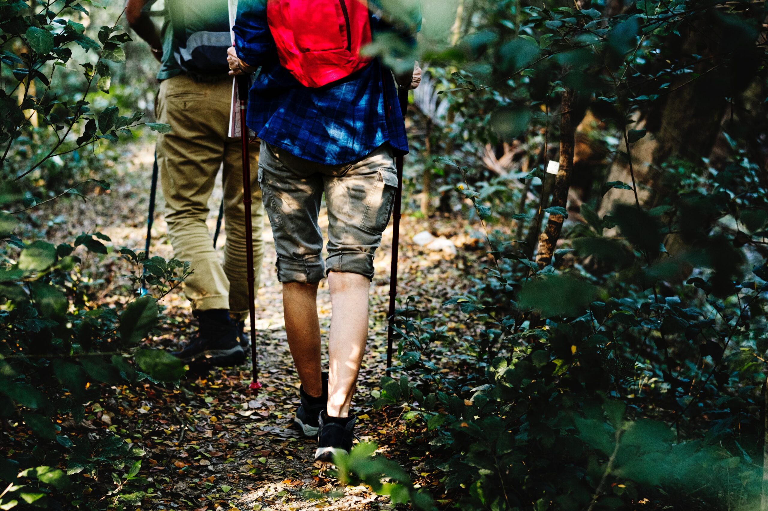 Diferencias entre trekking y senderismo